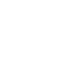 AnalisaCar - Vistoria Cautelar e Laudos Detalhados