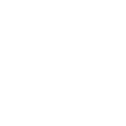 Team PC Jiu Jitsu | Capacitando Campeões com Disciplina e Técnica